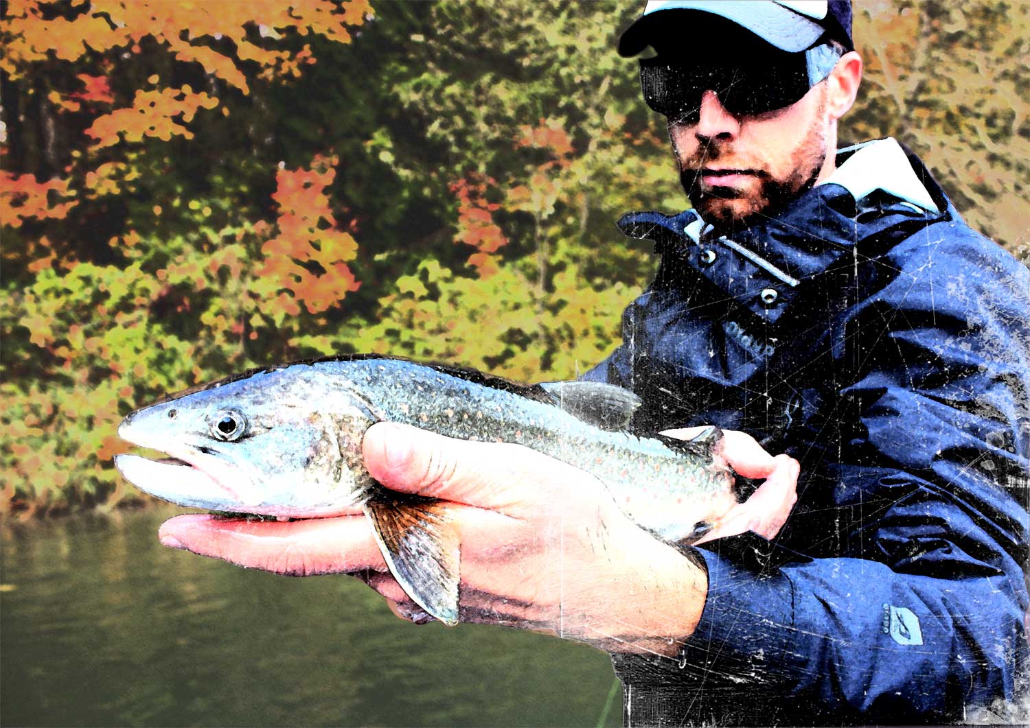 fall color bull trout fishing