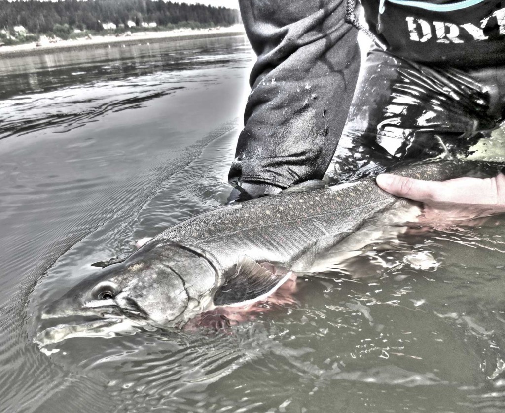 dryft waders bull trout fly fishing