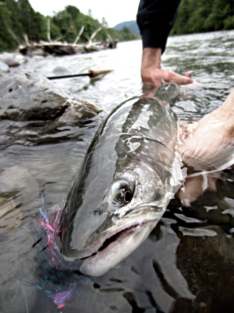 DRYFT waders