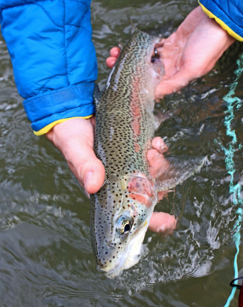 DRYFT waders fly fishing