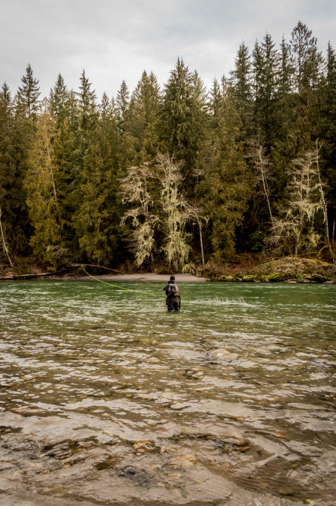 Spey casting for steelhead