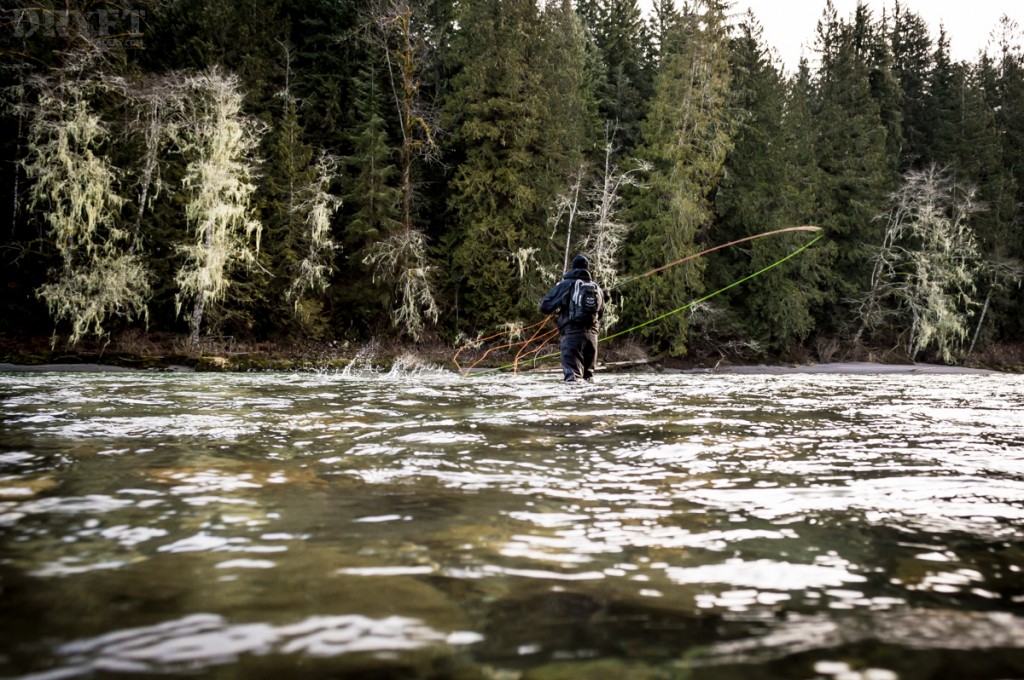 Spey casting for steelhead