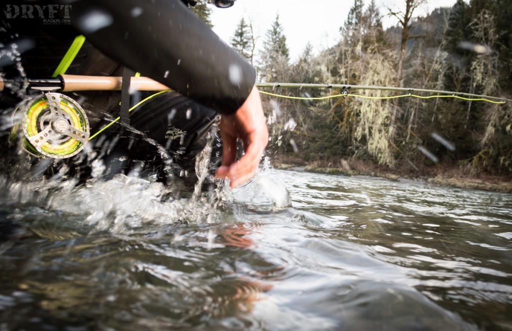 bull trout release