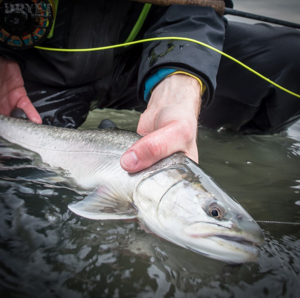 Bull trout fly fishing