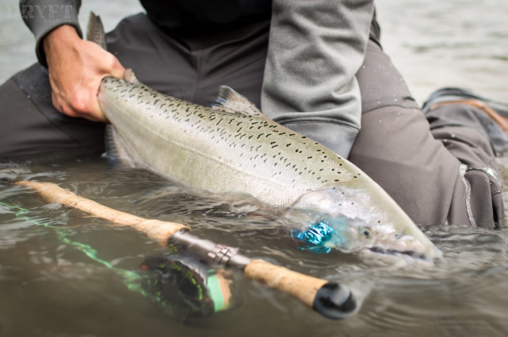 Springer on the fly