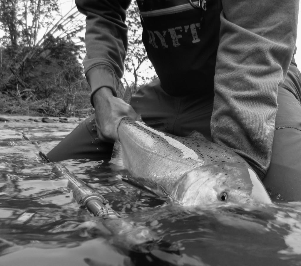 DRYFT Waders spring chinook