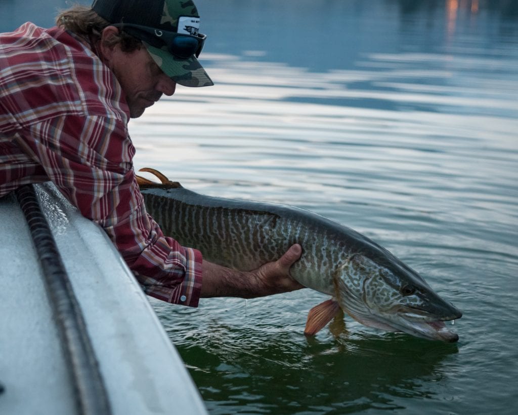 musky