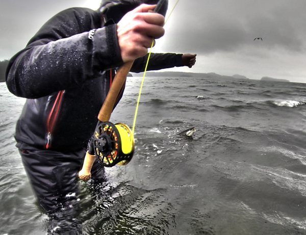 bull trout close to hand