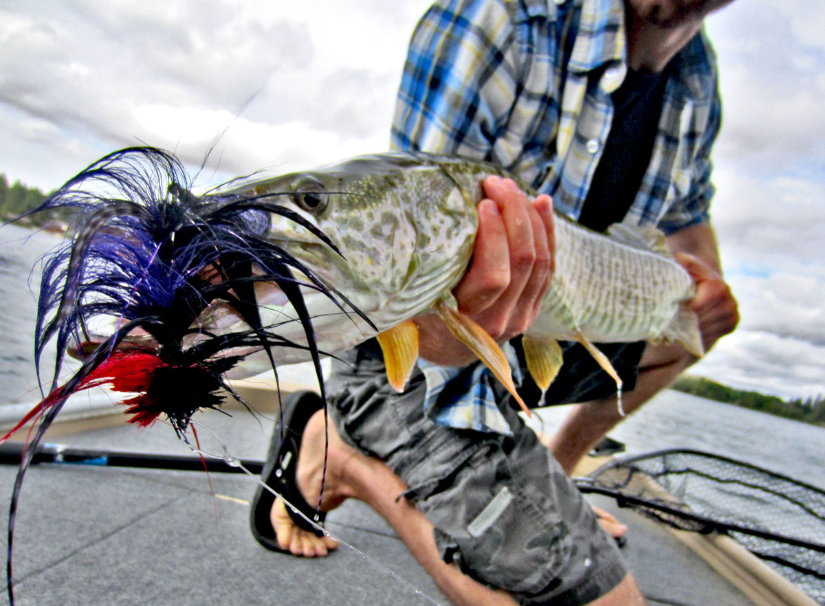 musky fly fishing eastern washington