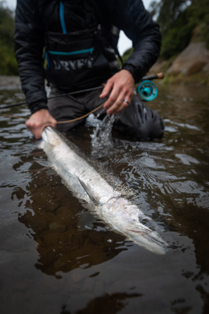 DRYFT S14 Waders