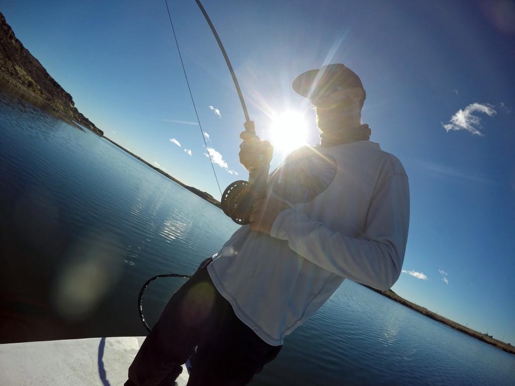 tiger musky fly fishing washngton - dryft