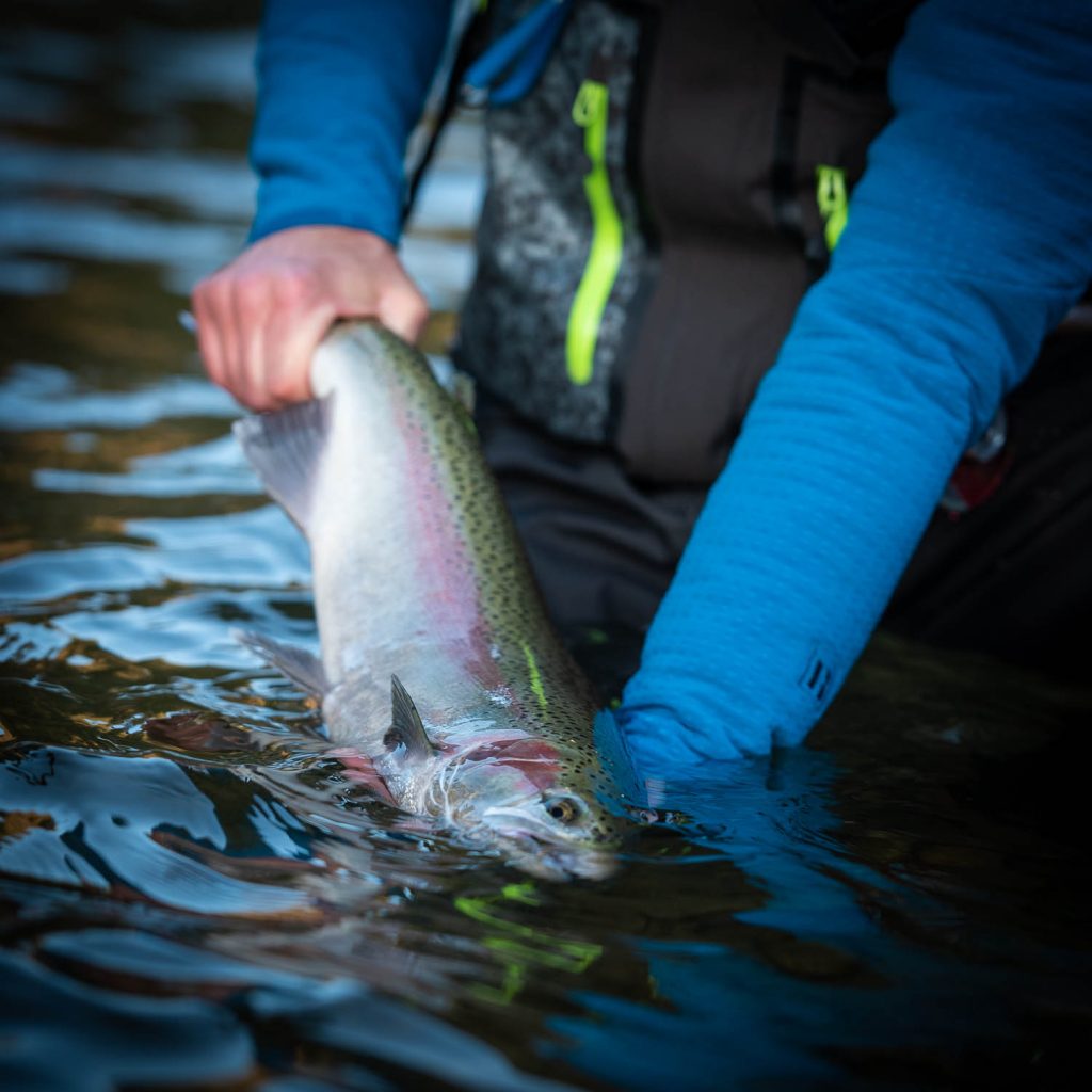 DRYFTculture fly fishing steelhead