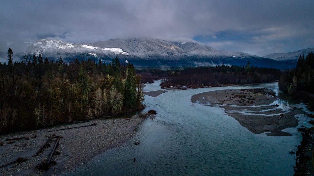 Spring fly fishing for steelhead